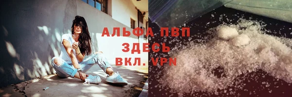 индика Касимов