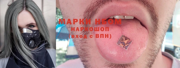 МДПВ Карпинск