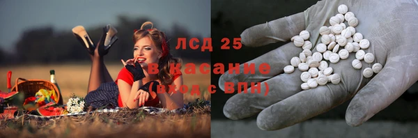 индика Касимов
