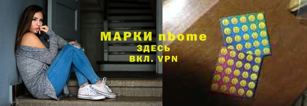 индика Касимов