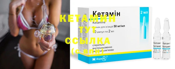 индика Касимов