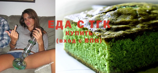 индика Касимов