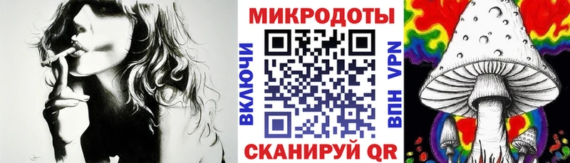 Купить  Ельня  Псилоцибиновые грибы Psilocybine cubensis 